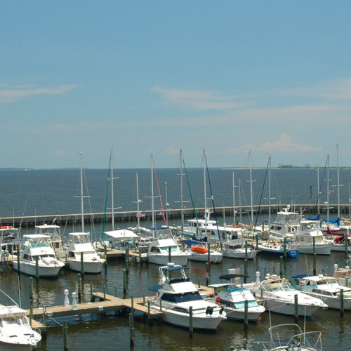 A marina full of boats on the Gulf of Mexico.