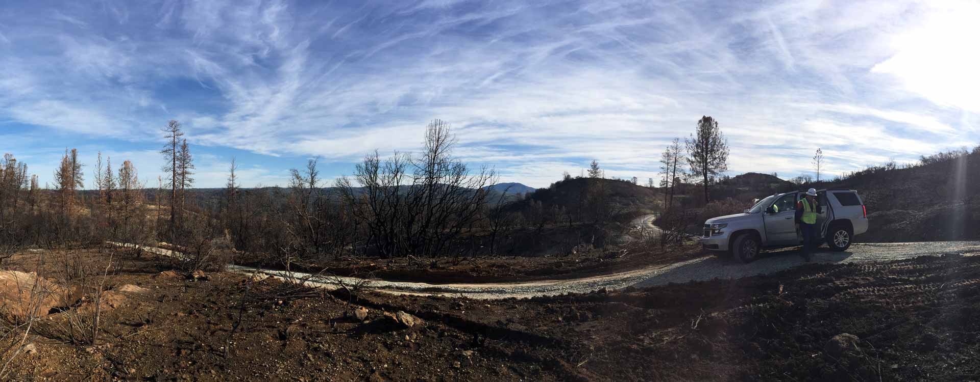 A construction worker stepping out of a car in a wooded area.